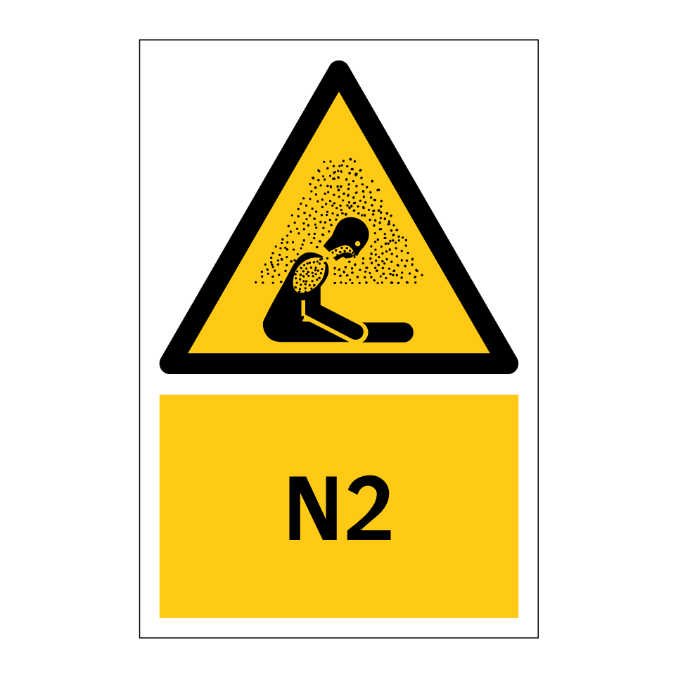 N2
