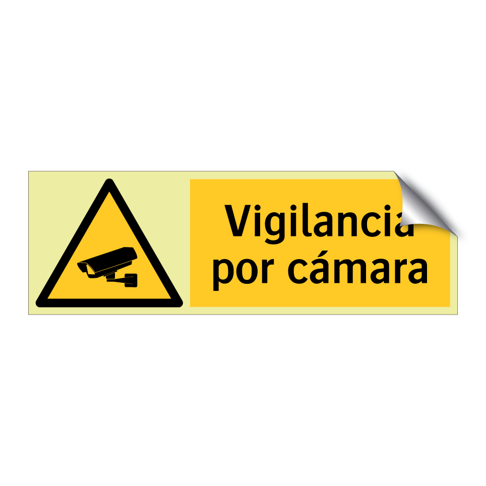Vigilancia por cámara