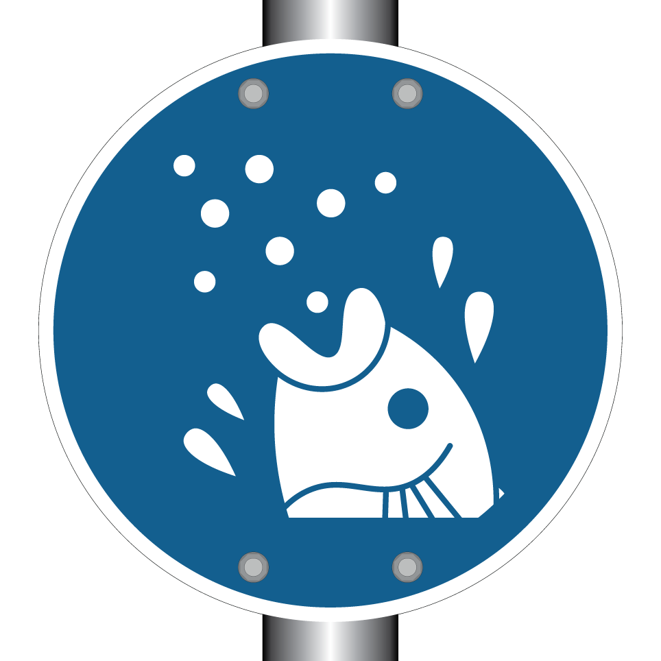 Alimentación de peces