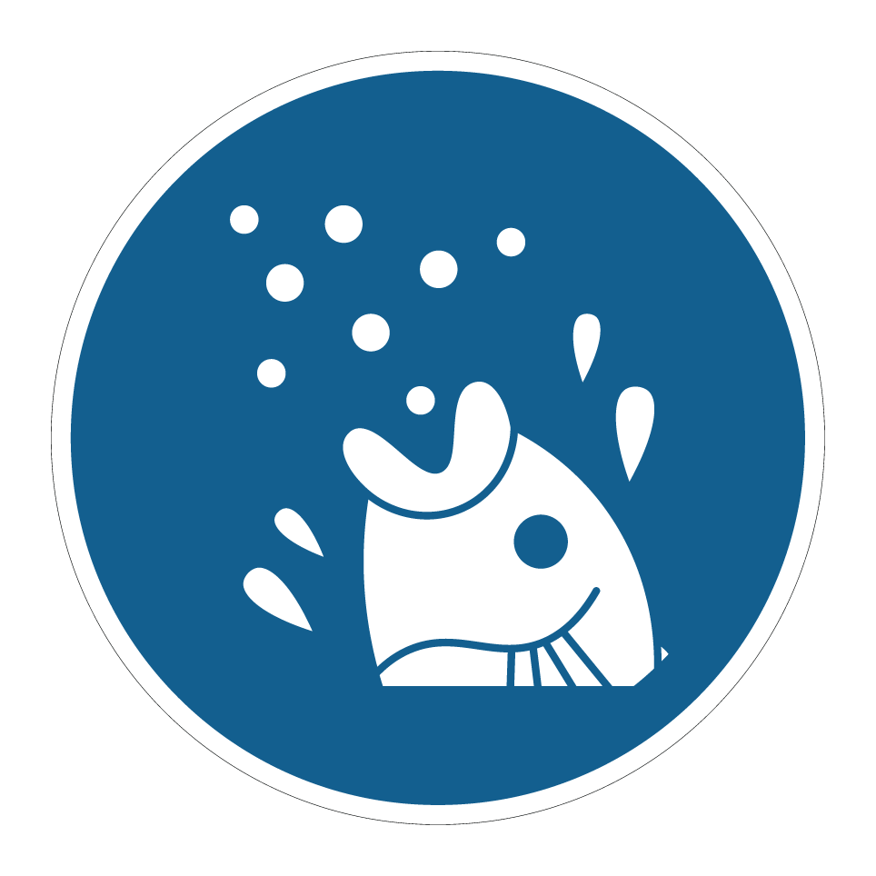 Alimentación de peces