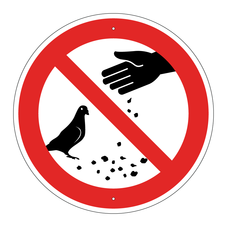 Prohibido alimentar a las palomas