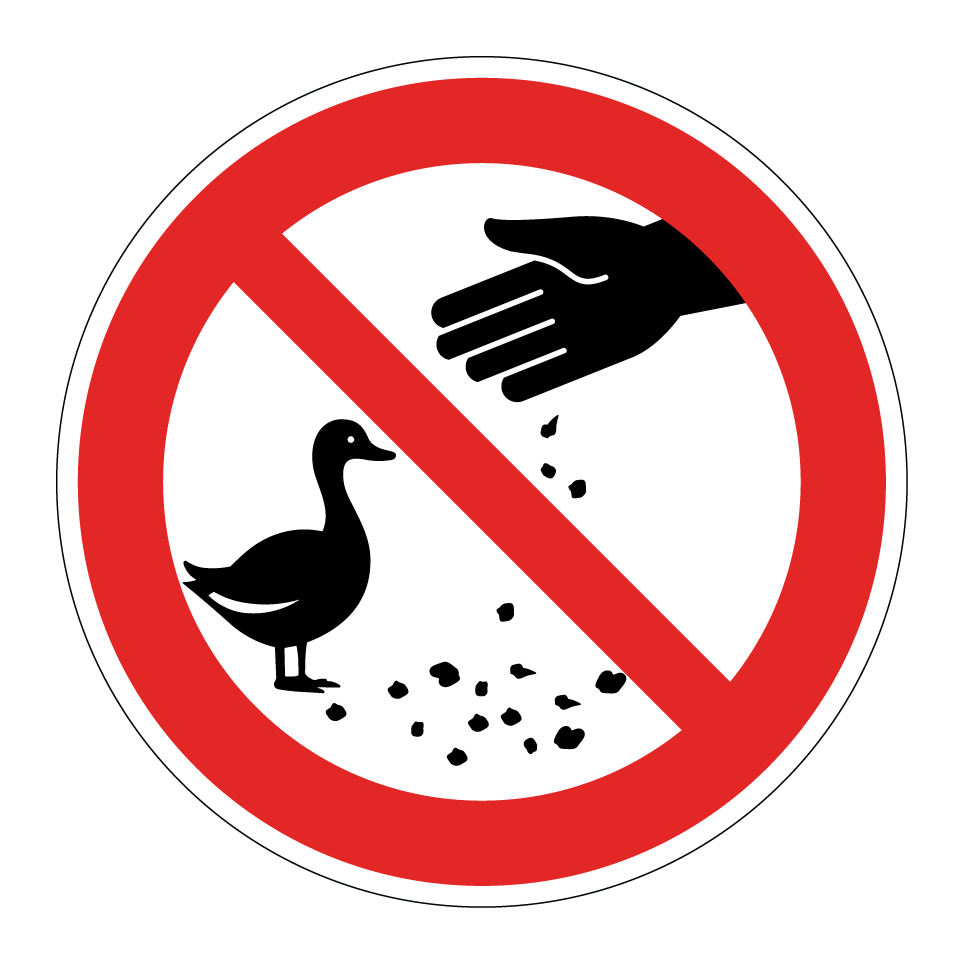 No dar de comer a los patos