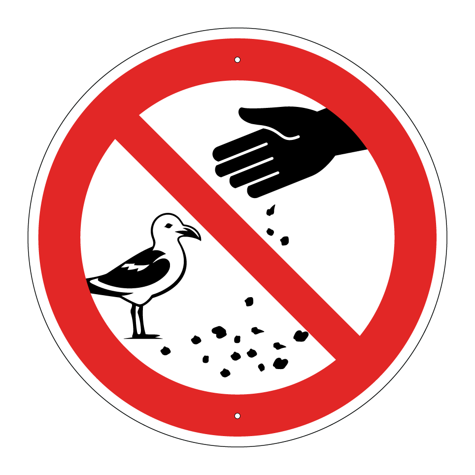 No dar de comer a las gaviotas