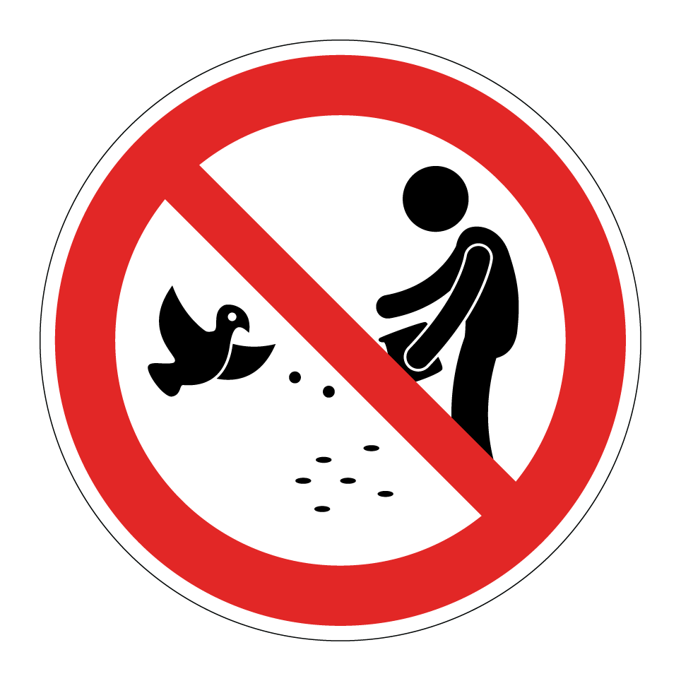 No dar de comer a las aves