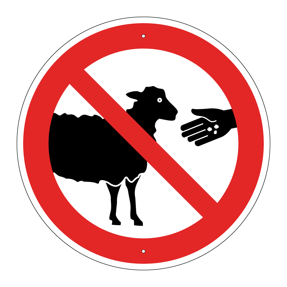 No alimentar a las ovejas