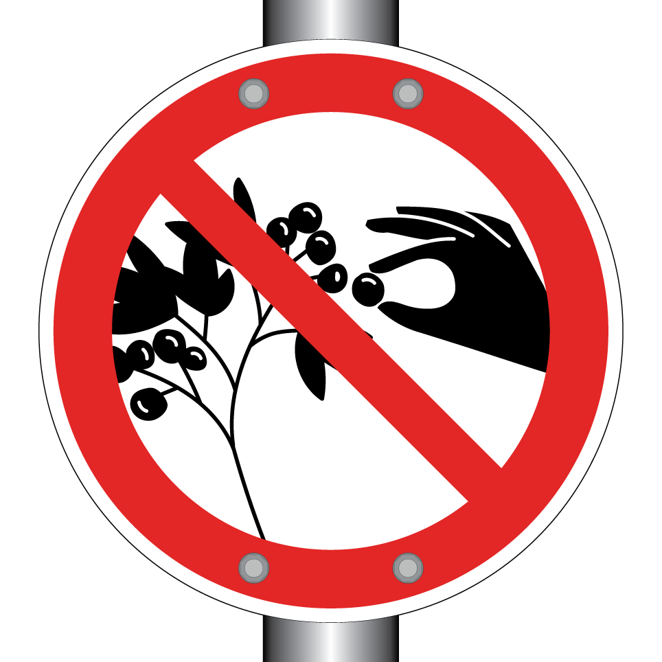 Prohibido recoger bayas