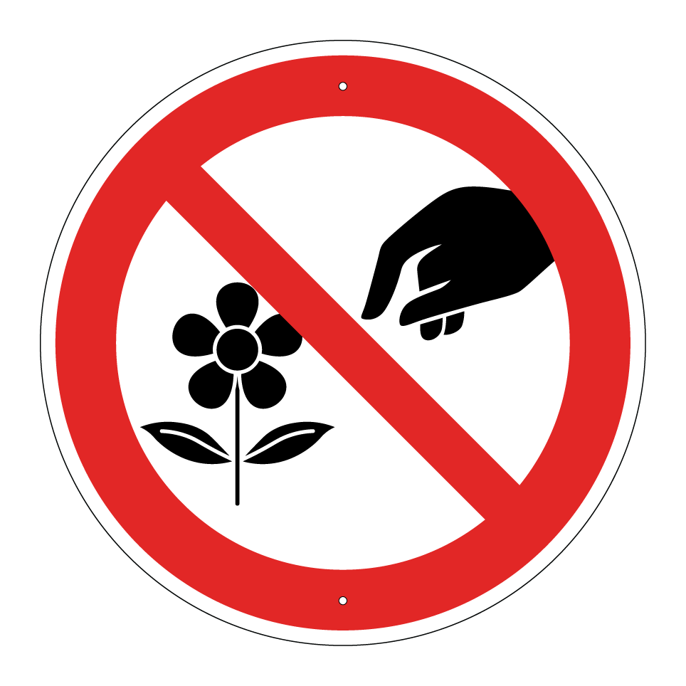 No coger flores