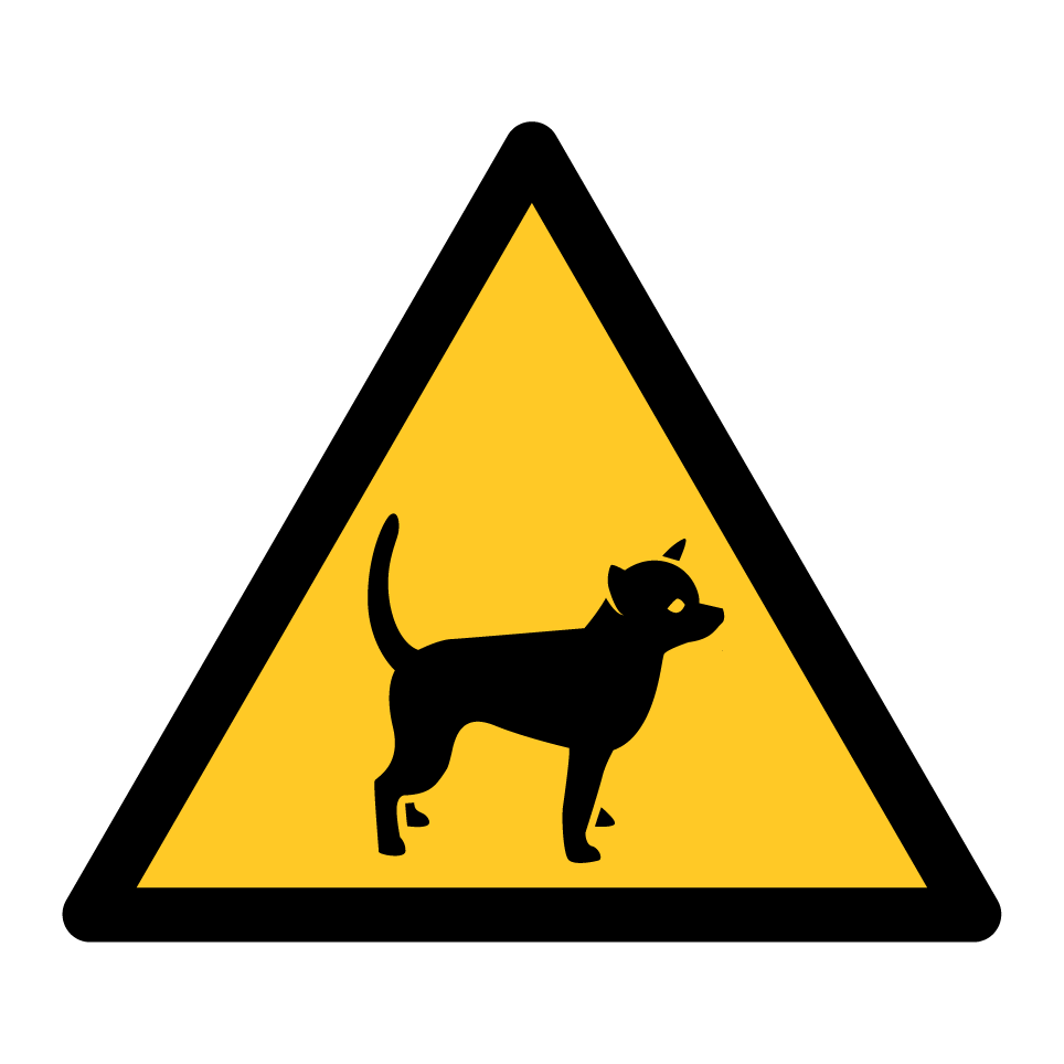Chihuahua de advertencia