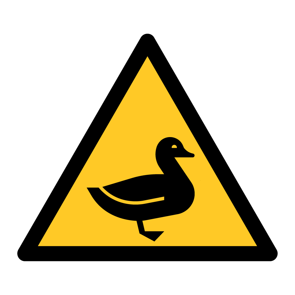 Pato de advertencia