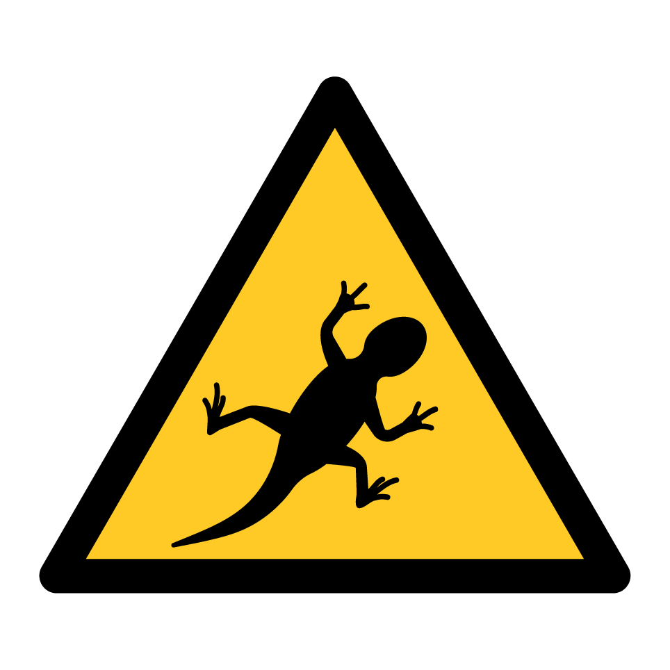 Lagarto de advertencia