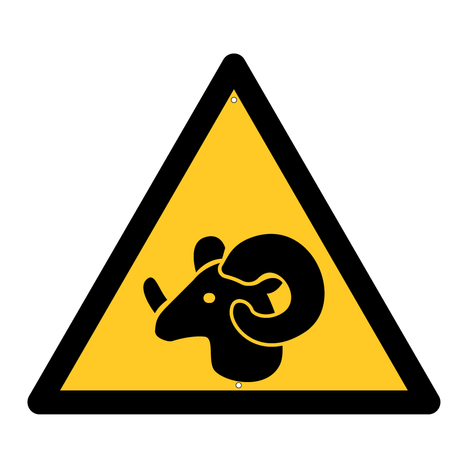 Advertencia de RAM