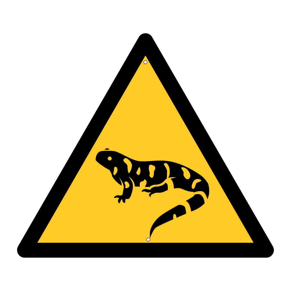 Salamandra de advertencia