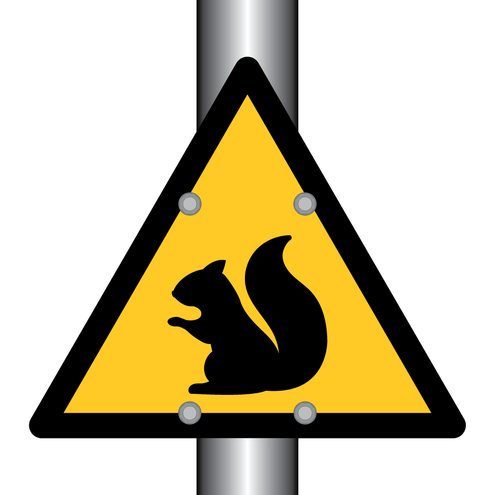 Ardilla de advertencia