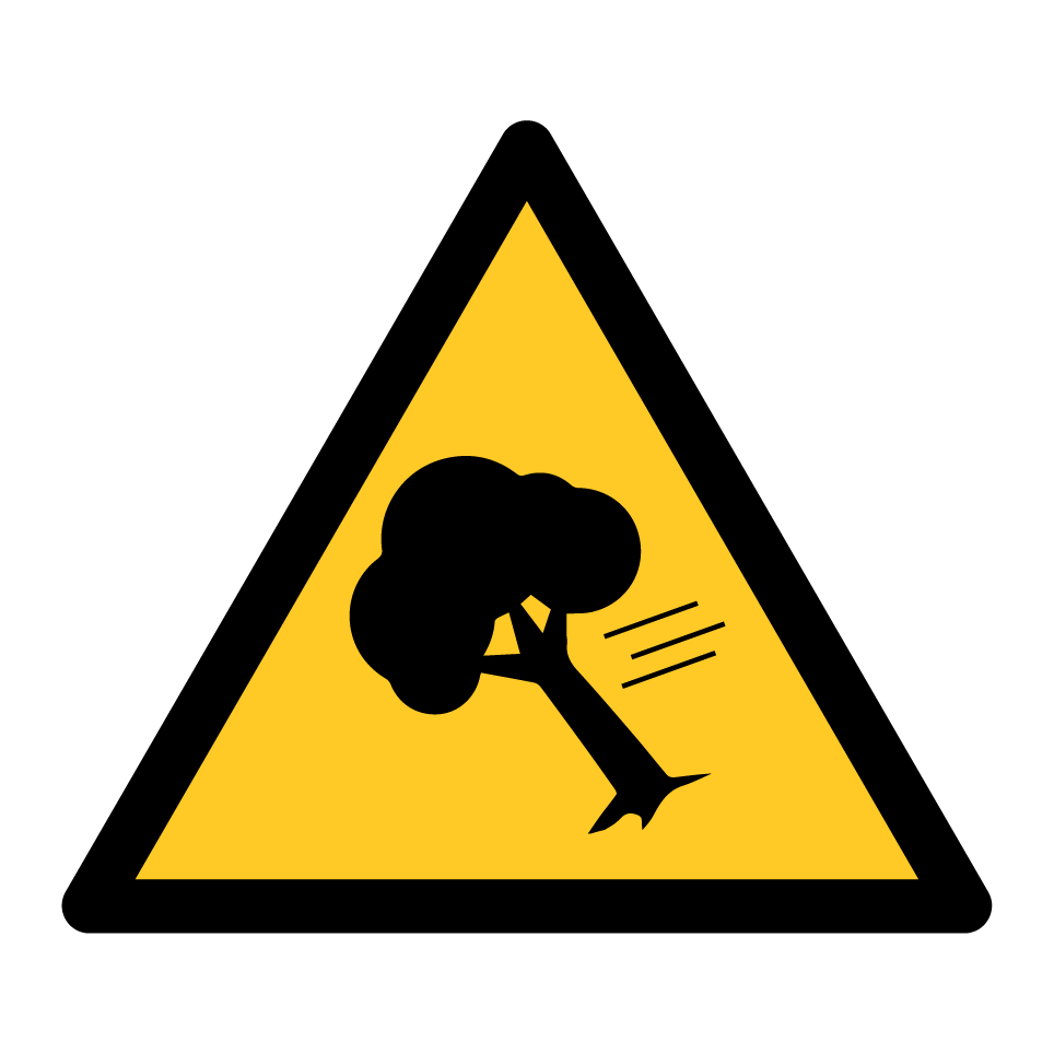 Advertencia viento fuerte