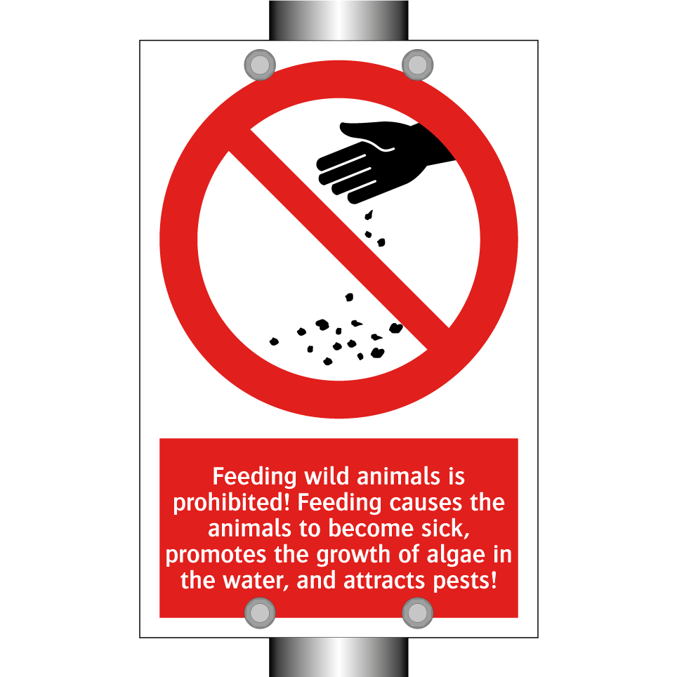 Feeding wild animals is prohibited! Feeding causes the animals to become sick, promotes the growth of algae in the water, and attracts pests!