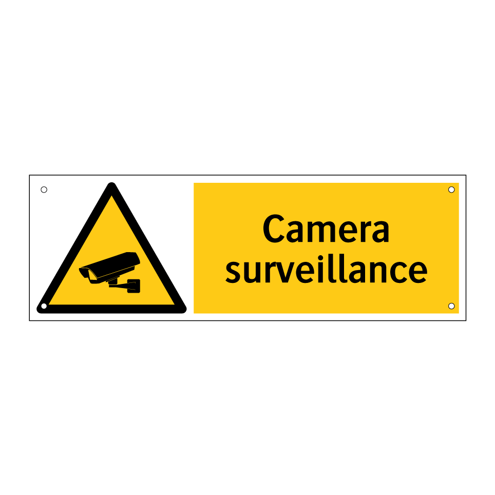 Camera surveillance