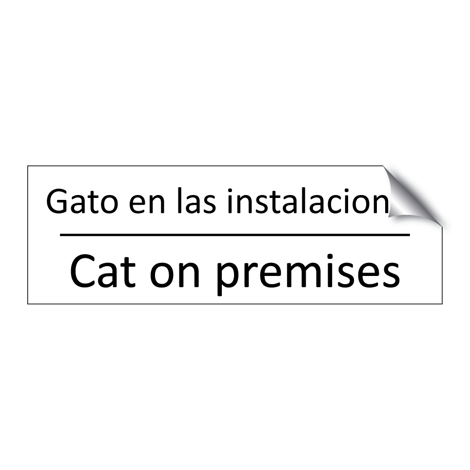 Gato en las instalaciones - Cat on premises