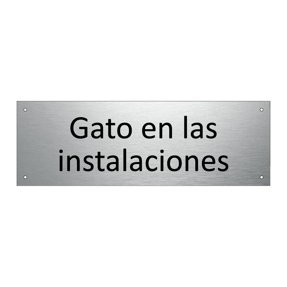Gato en las instalaciones