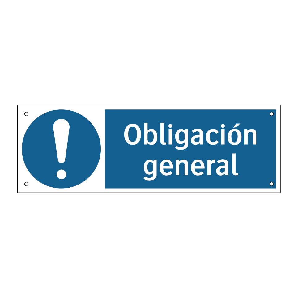 Obligación general