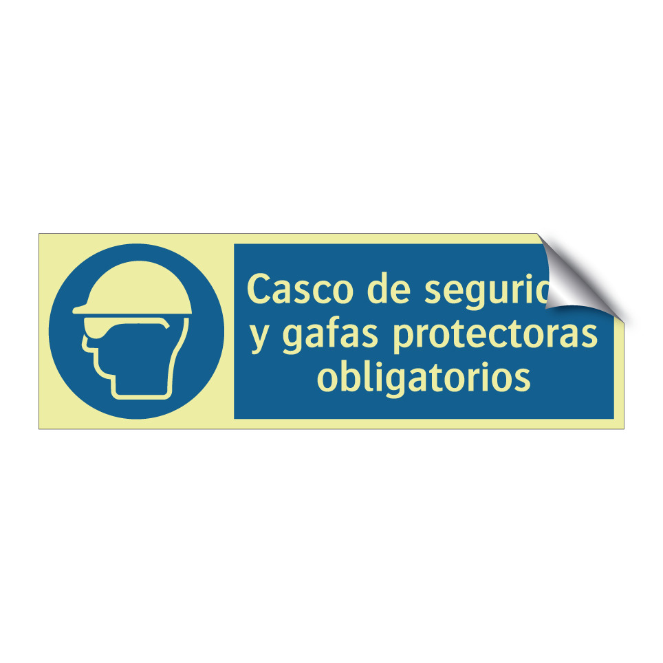 Casco de seguridad y gafas protectoras obligatorios