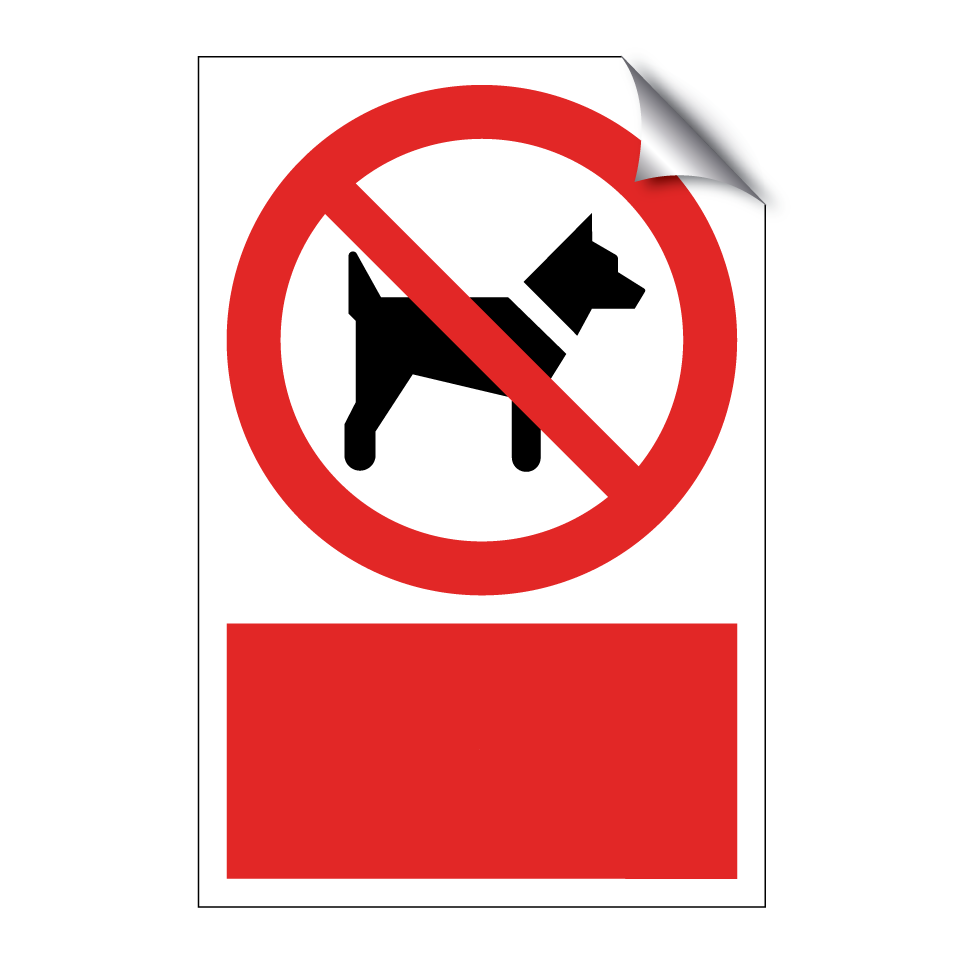 ¡Desafortunadamente, los perros deben quedarse afuera!