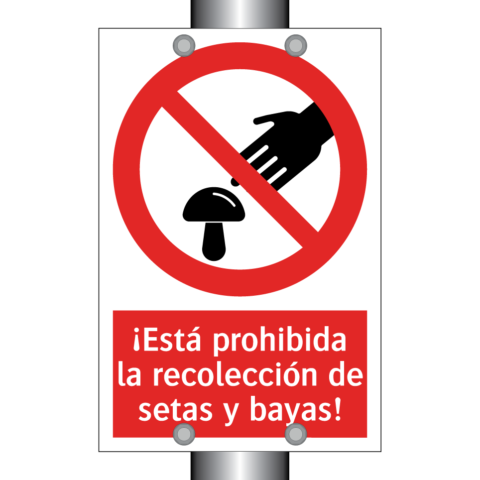 ¡Está prohibida la recolección de setas y bayas!