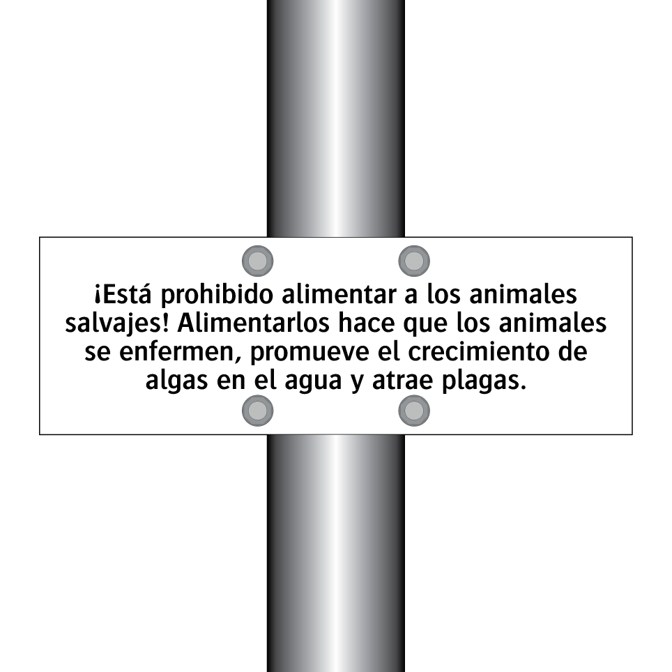 ¡Está prohibido alimentar a los animales salvajes! Alimentarlos hace que los animales se enfermen, promueve el crecimiento de algas en el agua y atrae plagas.