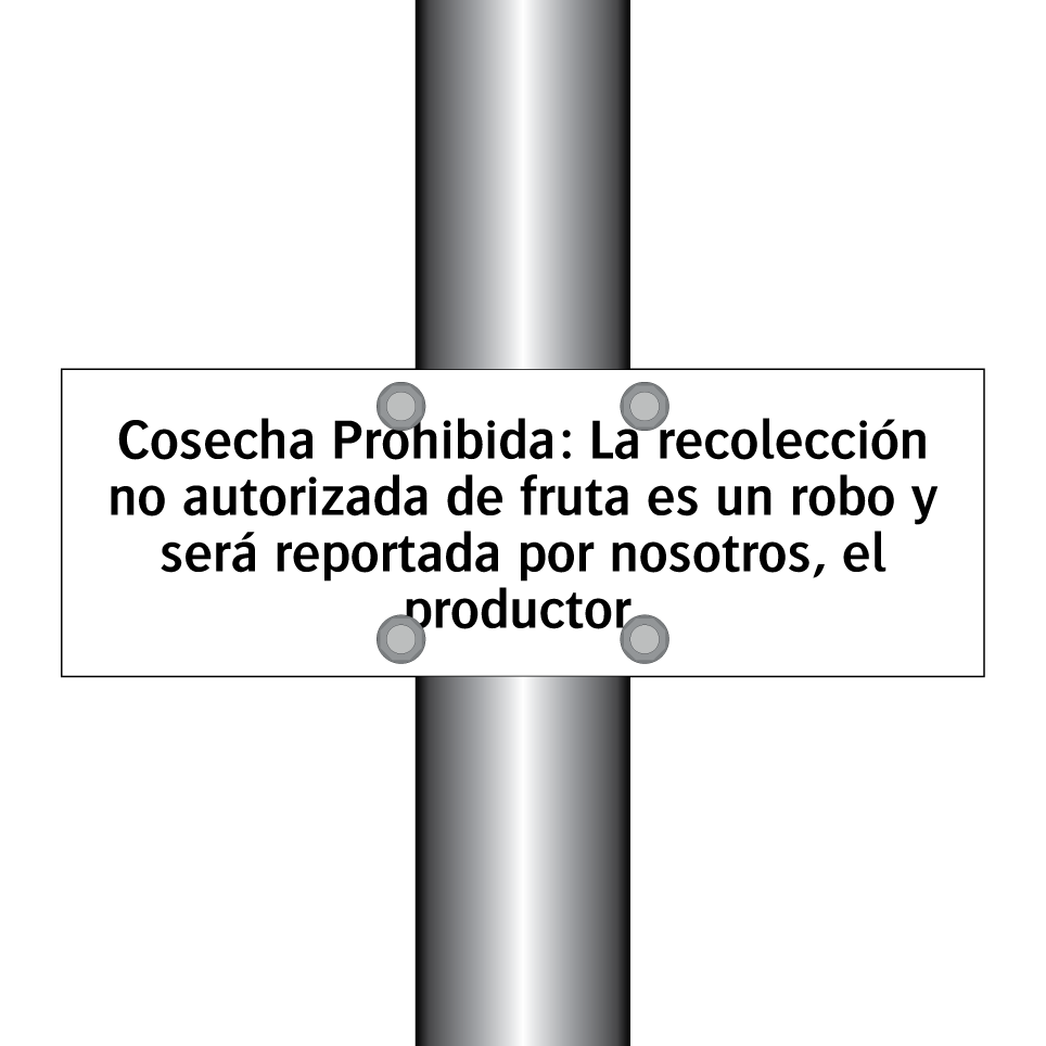Cosecha Prohibida: La recolección no autorizada de fruta es un robo y será reportada por nosotros, el productor.