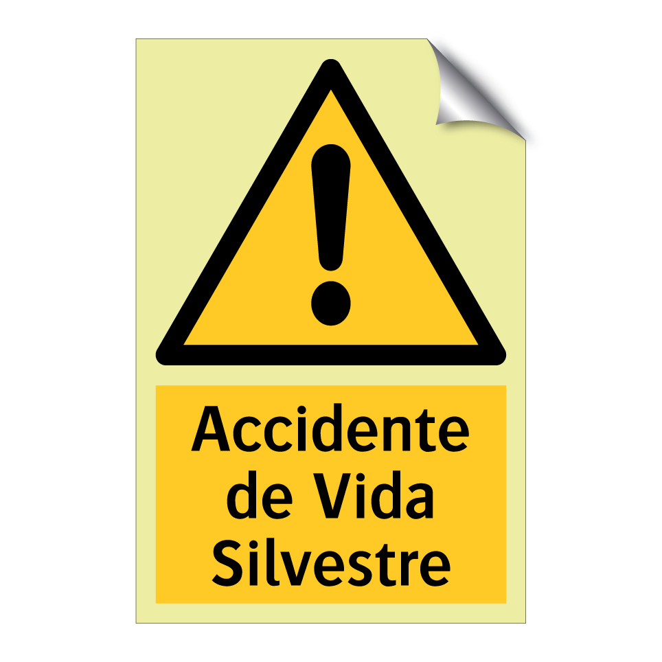 Accidente de Vida Silvestre
