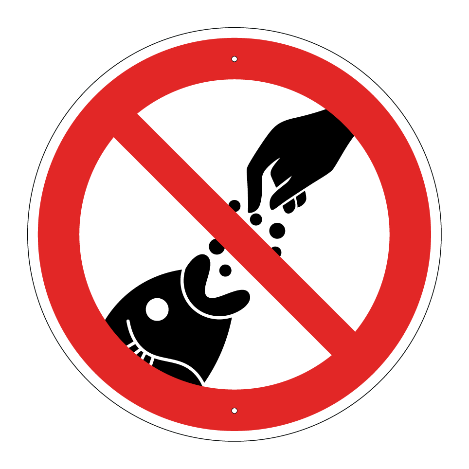 No alimentar a los peces