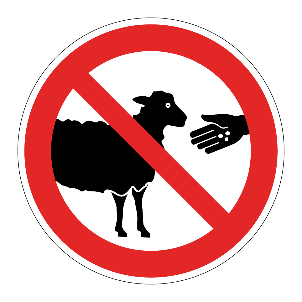 No alimentar a las ovejas