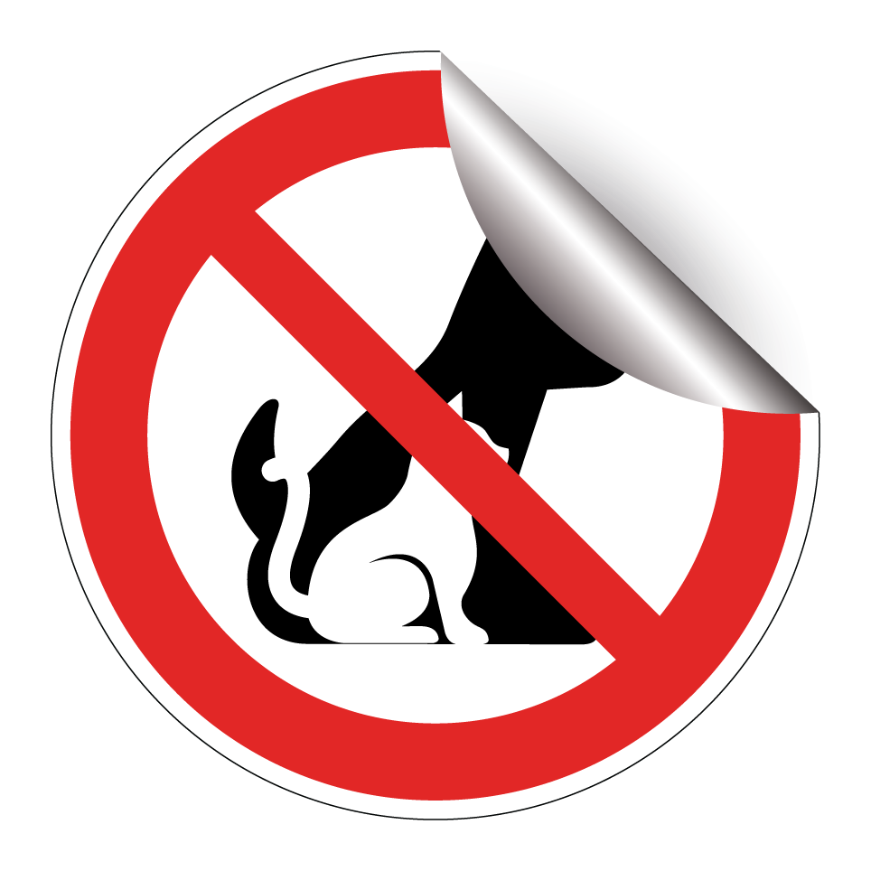 No se permiten perros ni gatos