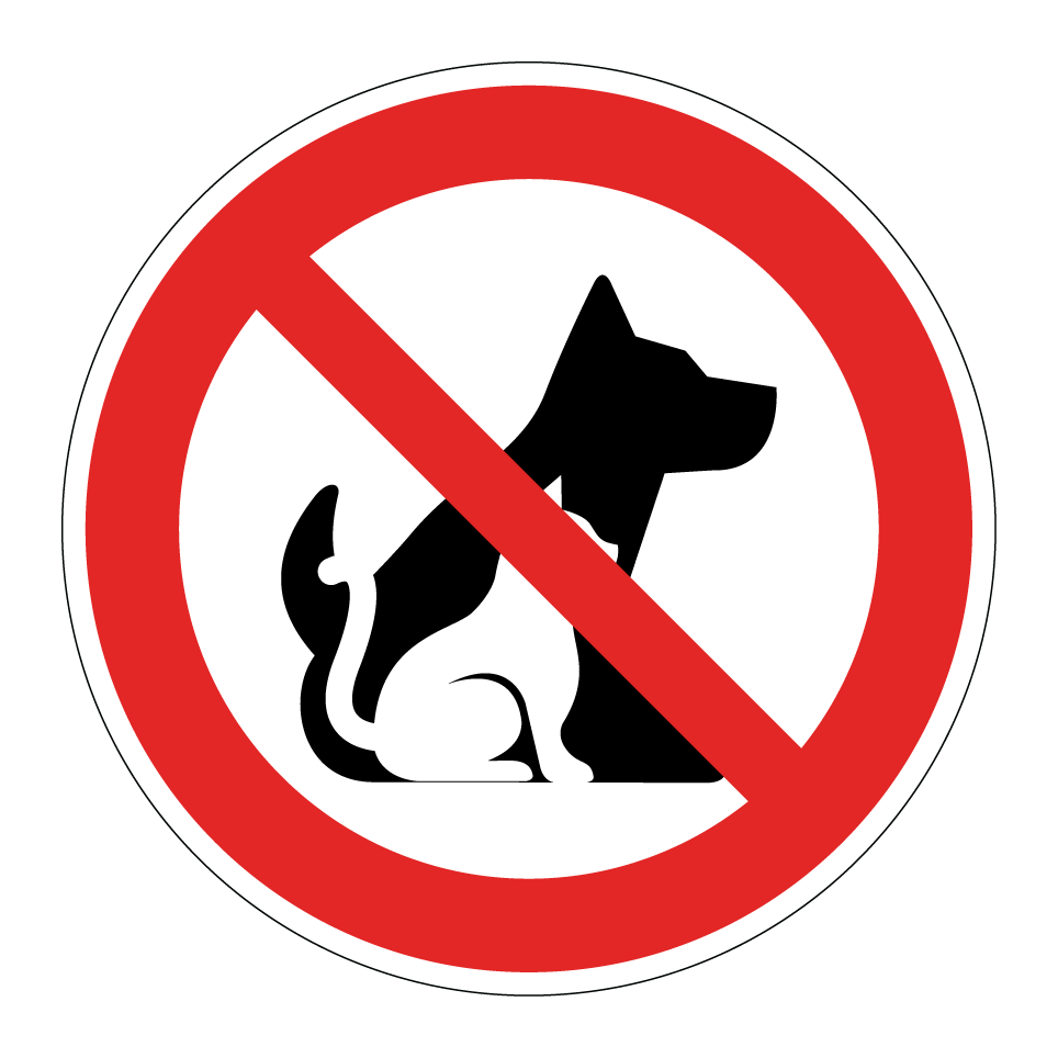 No se permiten perros ni gatos