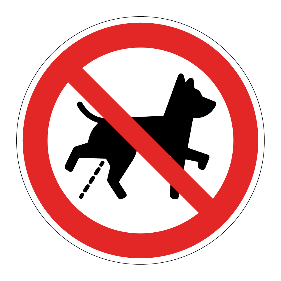 Perros no orinando