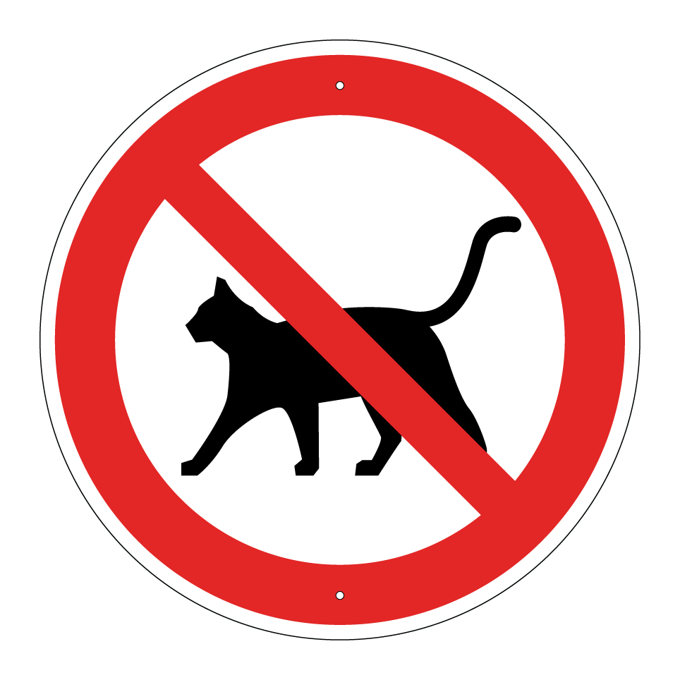Sin gatos