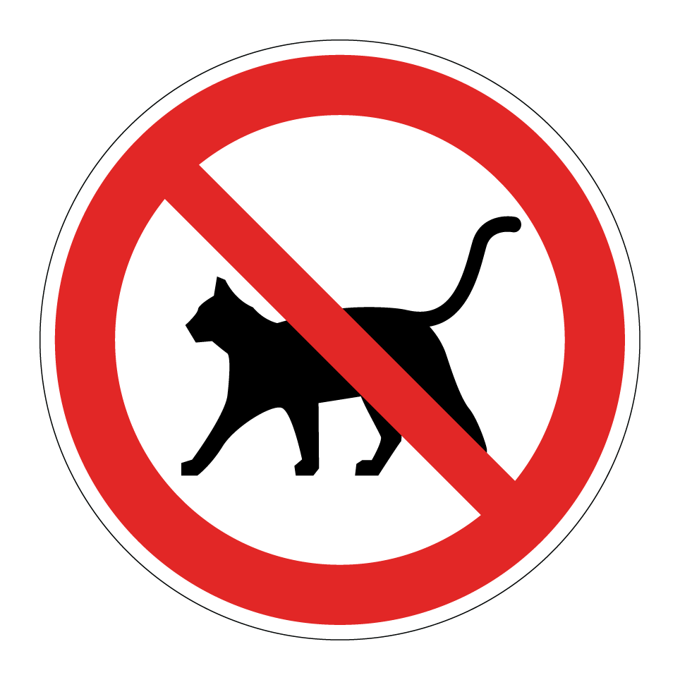 Sin gatos