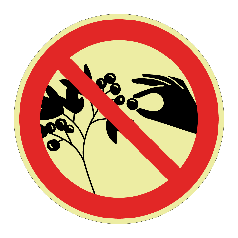 Prohibido recoger bayas