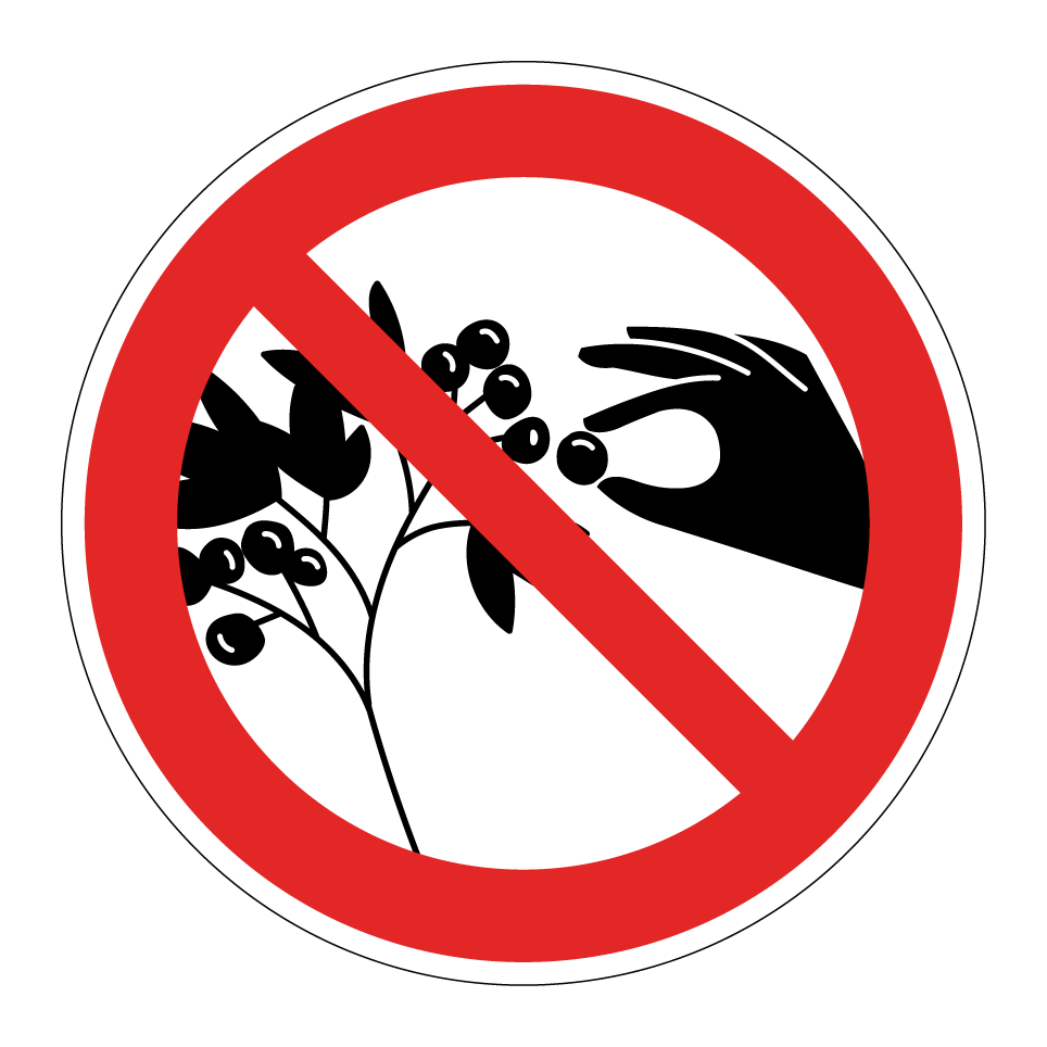 Prohibido recoger bayas