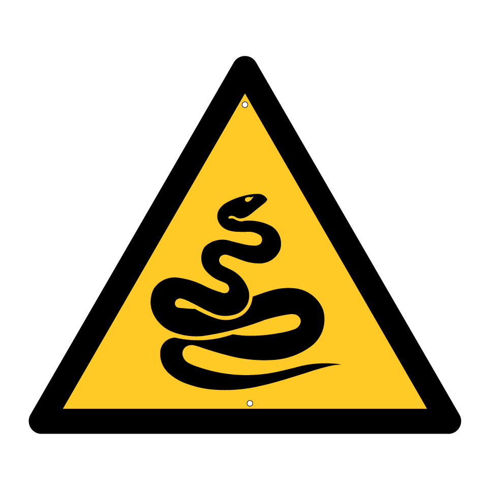 Serpiente de advertencia