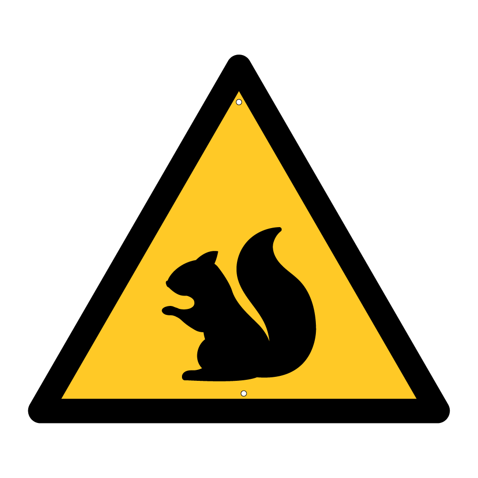 Ardilla de advertencia