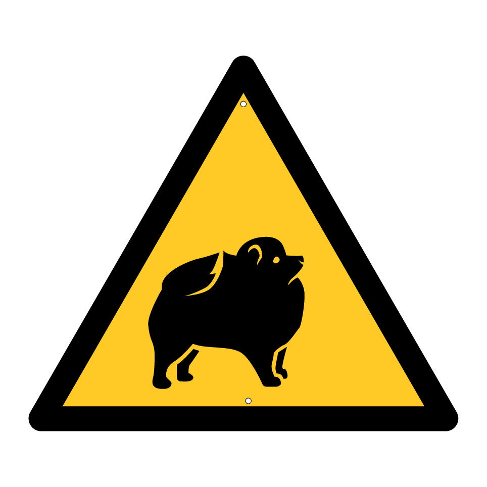 Perro de advertencia - Pomerania